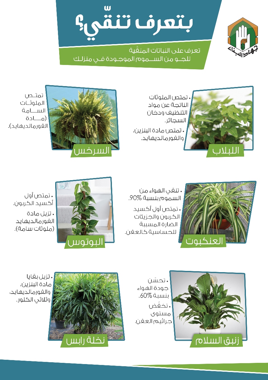 النباتات المنقية للجو